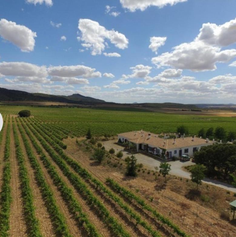 Finca El Romeral Alpera Dış mekan fotoğraf