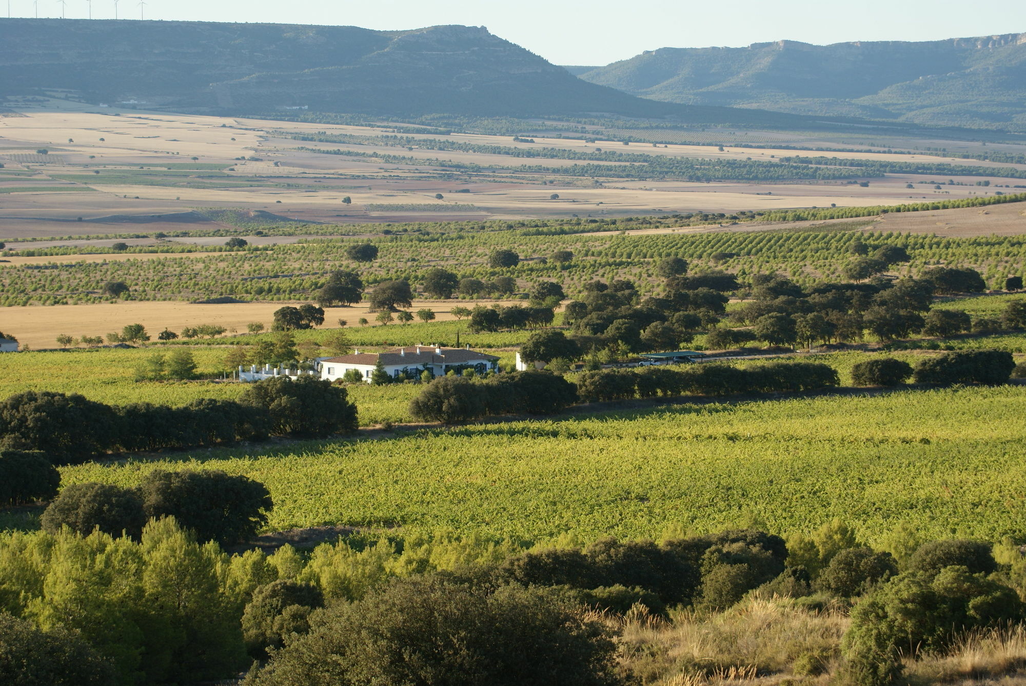 Finca El Romeral Alpera Dış mekan fotoğraf