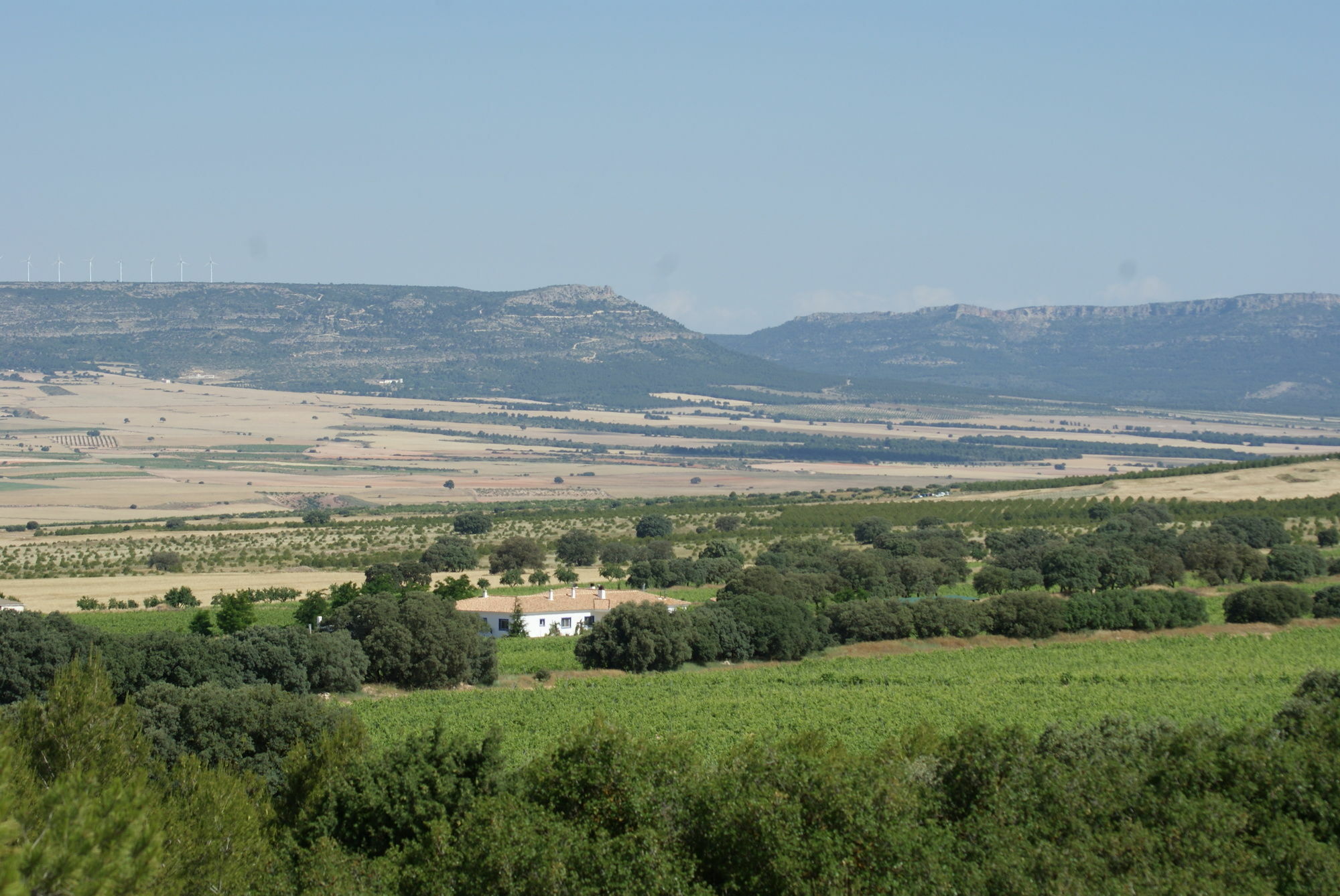 Finca El Romeral Alpera Dış mekan fotoğraf
