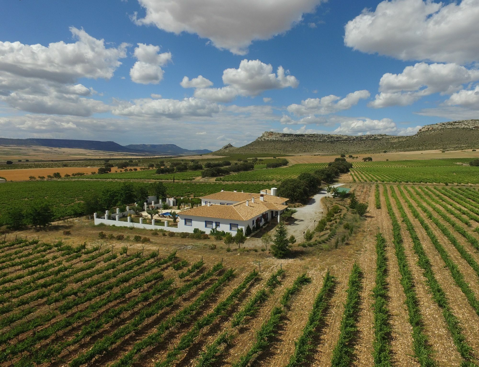 Finca El Romeral Alpera Dış mekan fotoğraf
