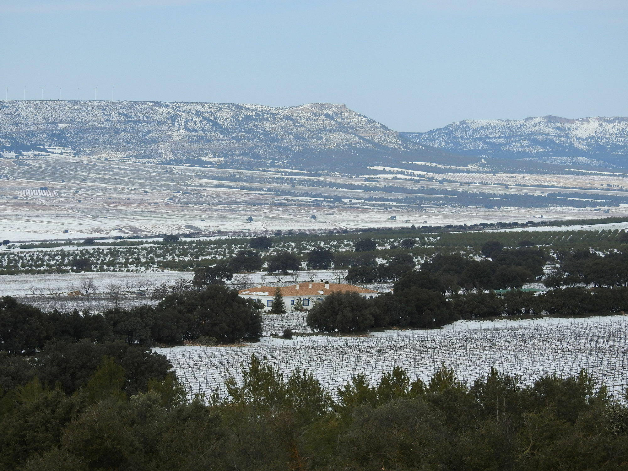 Finca El Romeral Alpera Dış mekan fotoğraf